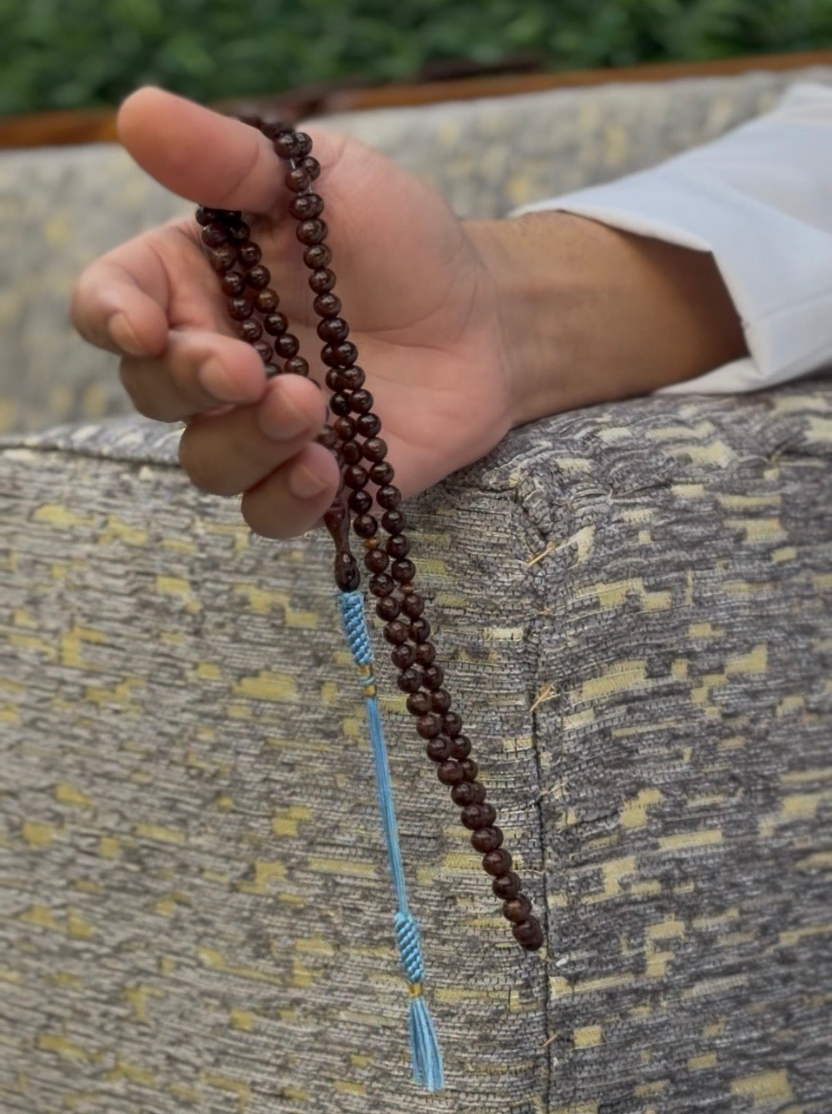 ذَكر